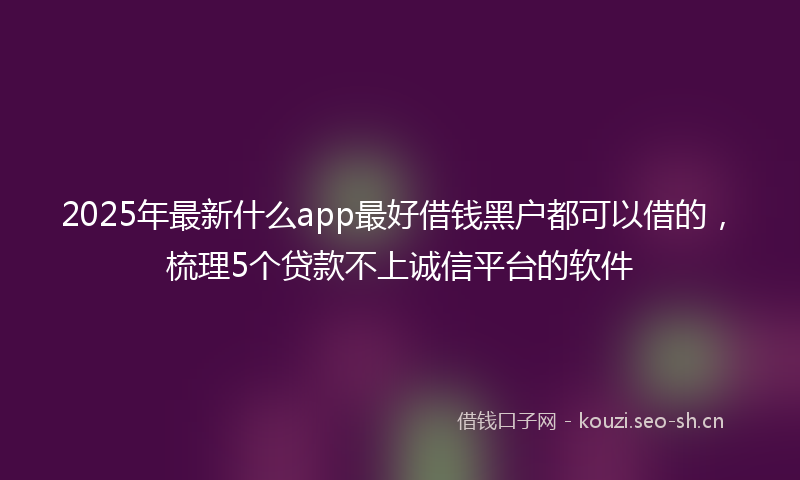 2025年最新什么app最好借钱黑户都可以借的，梳理5个贷款不上诚信平台的软件