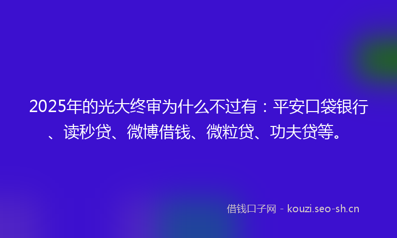 2025年的光大终审为什么不过有：平安口袋银行、读秒贷、微博借钱、微粒贷、功夫贷等。