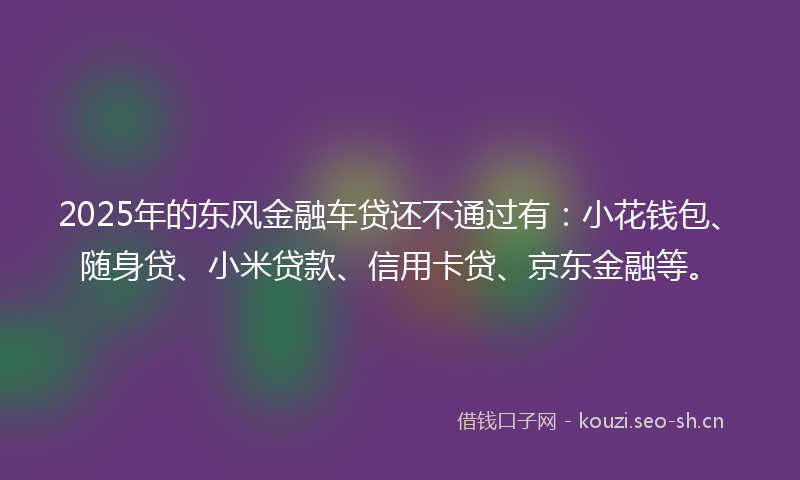 2025年的东风金融车贷还不通过有：小花钱包、随身贷、小米贷款、信用卡贷、京东金融等。