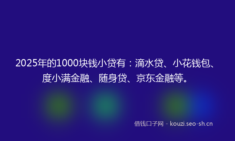 2025年的1000块钱小贷有：滴水贷、小花钱包、度小满金融、随身贷、京东金融等。