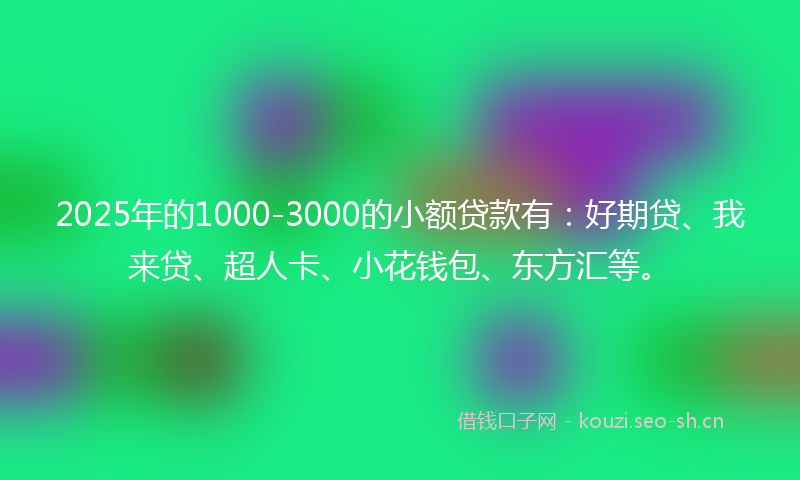 2025年的1000-3000的小额贷款有：好期贷、我来贷、超人卡、小花钱包、东方汇等。