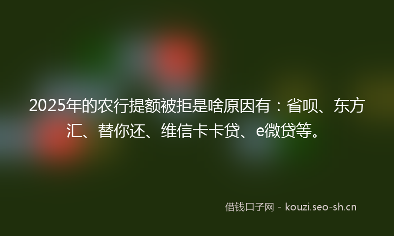2025年的农行提额被拒是啥原因有：省呗、东方汇、替你还、维信卡卡贷、e微贷等。