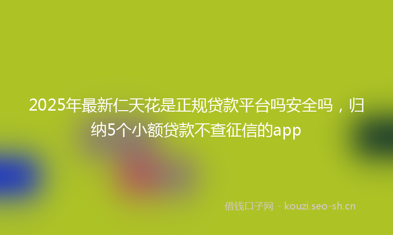 2025年最新仁天花是正规贷款平台吗安全吗，归纳5个小额贷款不查征信的app