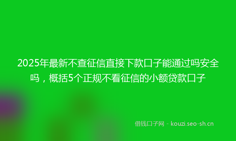 2025年最新不查征信直接下款口子能通过吗安全吗，概括5个正规不看征信的小额贷款口子