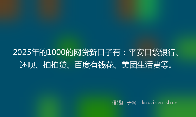 2025年的1000的网贷新口子有：平安口袋银行、还呗、拍拍贷、百度有钱花、美团生活费等。