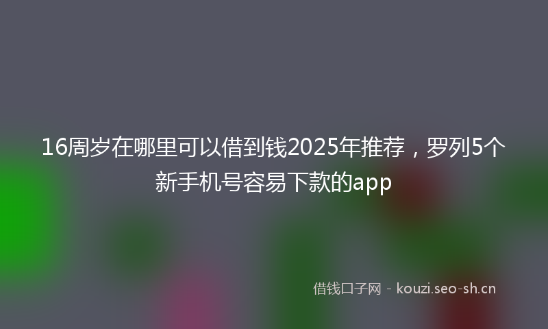 16周岁在哪里可以借到钱2025年推荐，罗列5个新手机号容易下款的app
