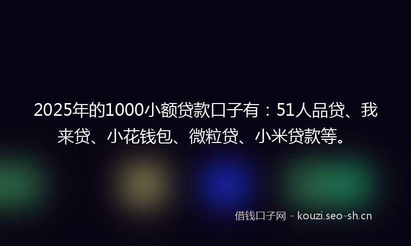 2025年的1000小额贷款口子有：51人品贷、我来贷、小花钱包、微粒贷、小米贷款等。