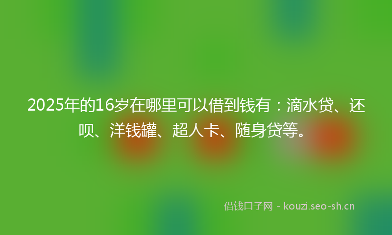 2025年的16岁在哪里可以借到钱有：滴水贷、还呗、洋钱罐、超人卡、随身贷等。