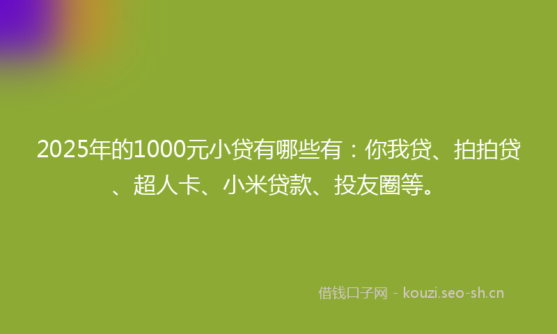 2025年的1000元小贷有哪些有：你我贷、拍拍贷、超人卡、小米贷款、投友圈等。