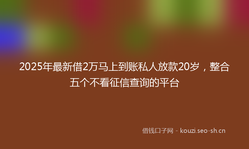 2025年最新借2万马上到账私人放款20岁，整合五个不看征信查询的平台