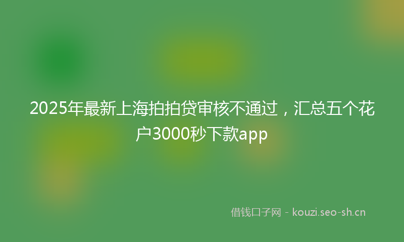 2025年最新上海拍拍贷审核不通过，汇总五个花户3000秒下款app