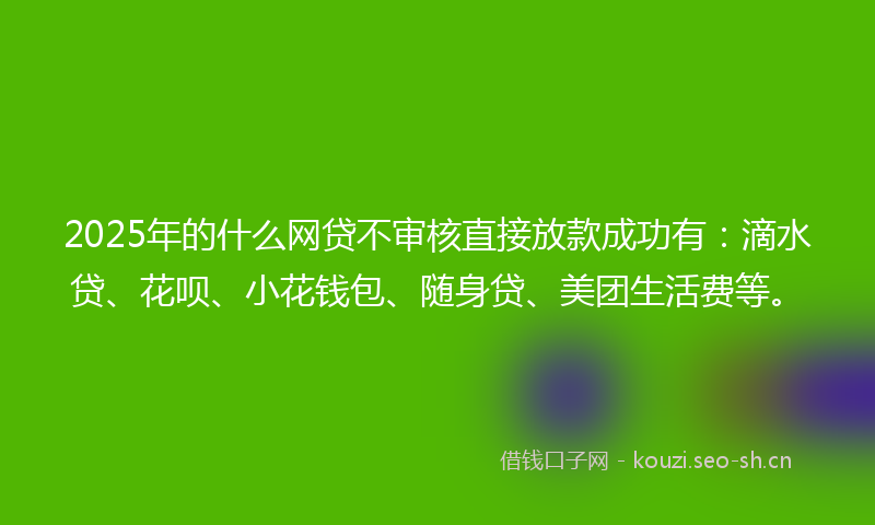 2025年的什么网贷不审核直接放款成功有：滴水贷、花呗、小花钱包、随身贷、美团生活费等。