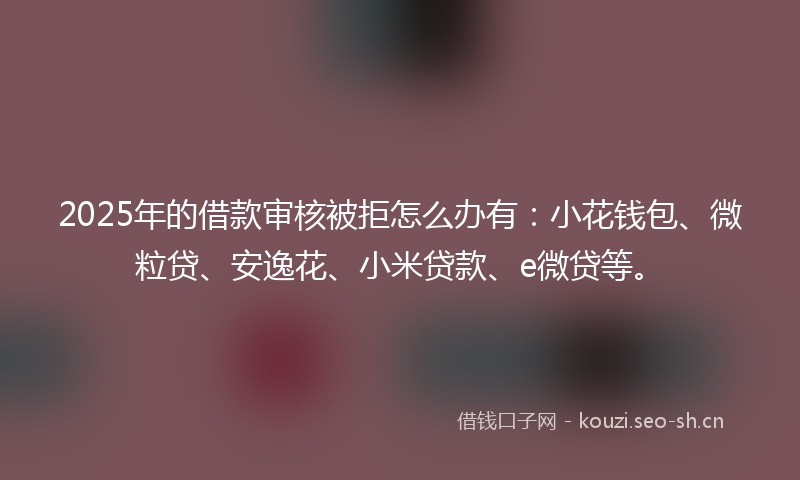 2025年的借款审核被拒怎么办有：小花钱包、微粒贷、安逸花、小米贷款、e微贷等。