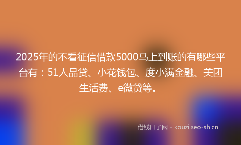 2025年的不看征信借款5000马上到账的有哪些平台有：51人品贷、小花钱包、度小满金融、美团生活费、e微贷等。