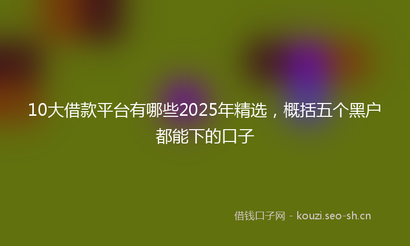 10大借款平台有哪些2025年精选，概括五个黑户都能下的口子