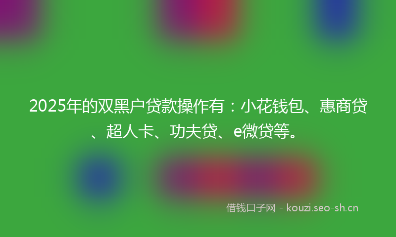 2025年的双黑户贷款操作有：小花钱包、惠商贷、超人卡、功夫贷、e微贷等。