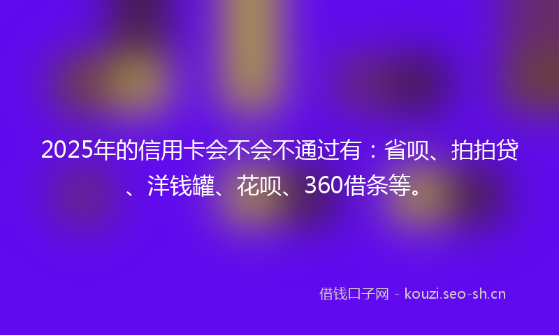 2025年的信用卡会不会不通过有：省呗、拍拍贷、洋钱罐、花呗、360借条等。