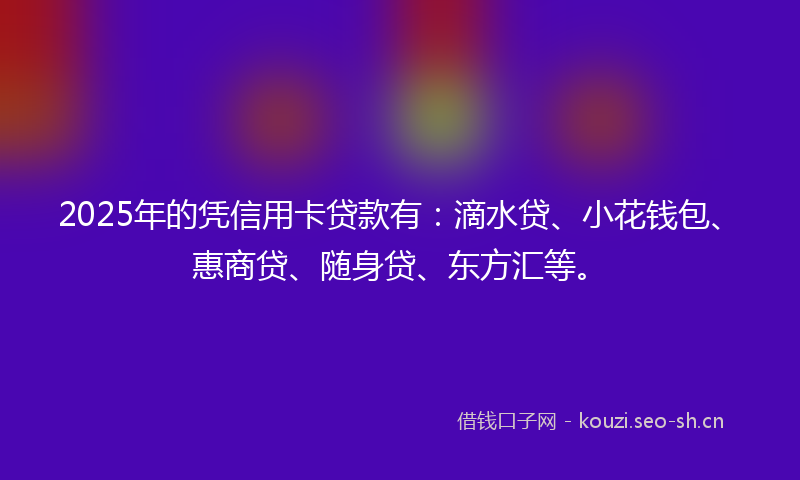 2025年的凭信用卡贷款有：滴水贷、小花钱包、惠商贷、随身贷、东方汇等。