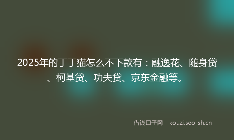2025年的丁丁猫怎么不下款有：融逸花、随身贷、柯基贷、功夫贷、京东金融等。