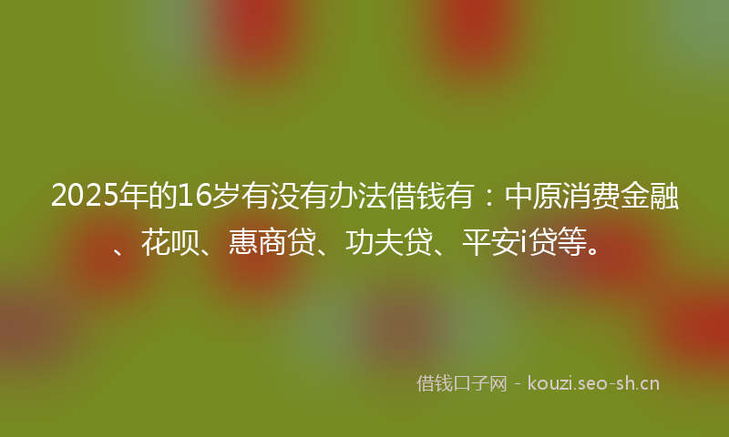 2025年的16岁有没有办法借钱有:中原消费金融、花呗、惠商贷、功夫贷、平安i贷等。
