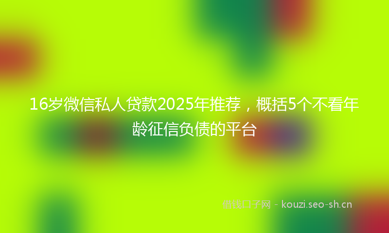 16岁微信私人贷款2025年推荐，概括5个不看年龄征信负债的平台