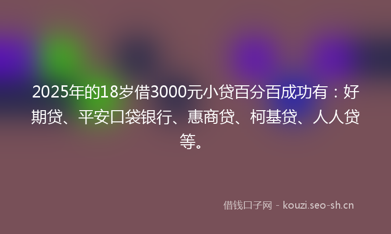 2025年的18岁借3000元小贷百分百成功有：好期贷、平安口袋银行、惠商贷、柯基贷、人人贷等。