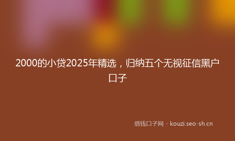 2000的小贷2025年精选，归纳五个无视征信黑户口子