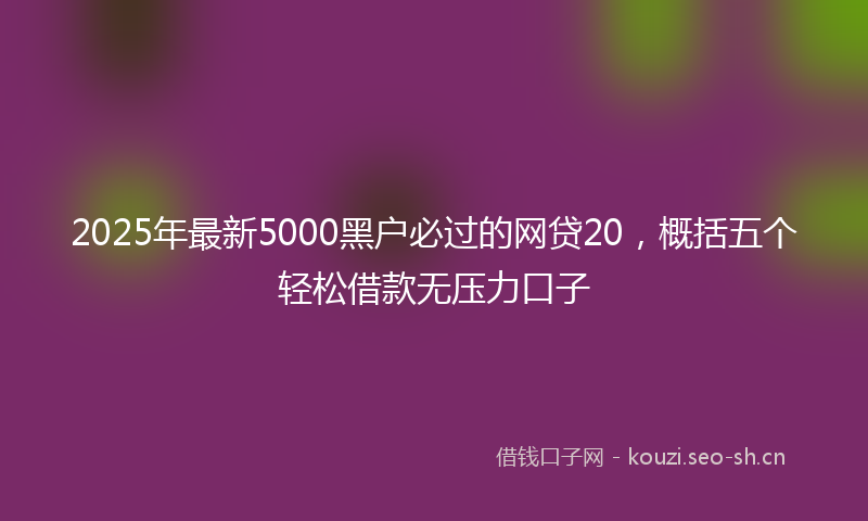 2025年最新5000黑户必过的网贷20，概括五个轻松借款无压力口子