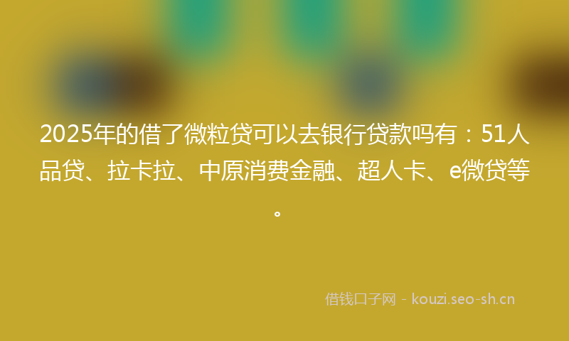 2025年的借了微粒贷可以去银行贷款吗有：51人品贷、拉卡拉、中原消费金融、超人卡、e微贷等。