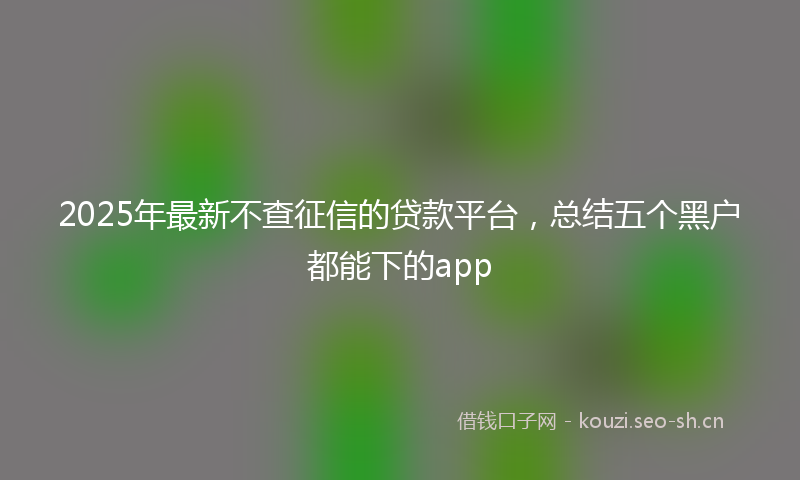2025年最新不查征信的贷款平台，总结五个黑户都能下的app