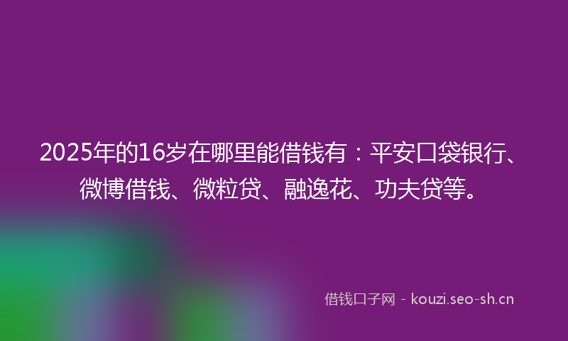 2025年的16岁在哪里能借钱有：平安口袋银行、微博借钱、微粒贷、融逸花、功夫贷等。