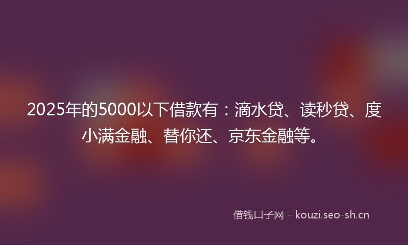 2025年的5000以下借款有：滴水贷、读秒贷、度小满金融、替你还、京东金融等。