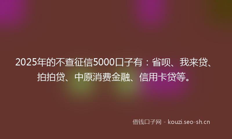 2025年的不查征信5000口子有：省呗、我来贷、拍拍贷、中原消费金融、信用卡贷等。