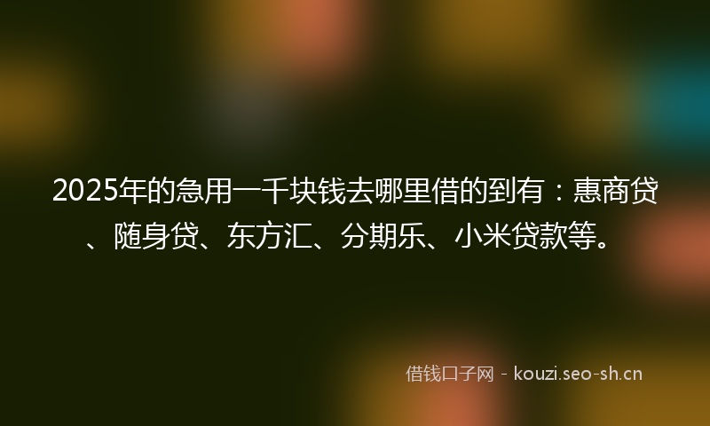 2025年的急用一千块钱去哪里借的到有：惠商贷、随身贷、东方汇、分期乐、小米贷款等。