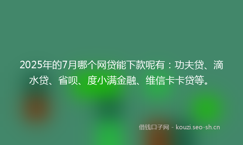 2025年的7月哪个网贷能下款呢有：功夫贷、滴水贷、省呗、度小满金融、维信卡卡贷等。