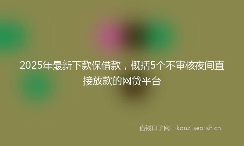 2025年最新下款保借款，概括5个不审核夜间直接放款的网贷平台