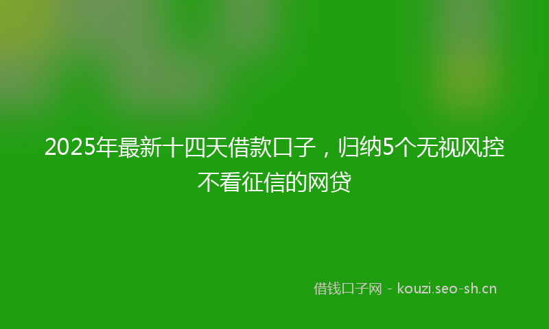 2025年最新十四天借款口子，归纳5个无视风控不看征信的网贷