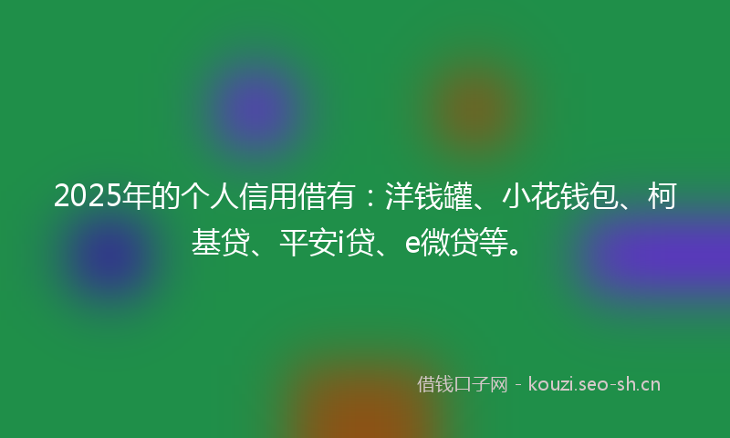 2025年的个人信用借有：洋钱罐、小花钱包、柯基贷、平安i贷、e微贷等。