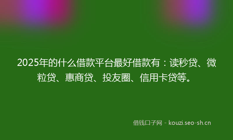 2025年的什么借款平台最好借款有：读秒贷、微粒贷、惠商贷、投友圈、信用卡贷等。
