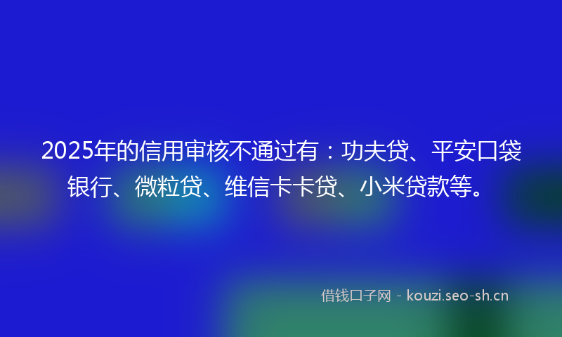 2025年的信用审核不通过有:功夫贷、平安口袋银行、微粒贷、维信卡卡贷、小米贷款等。