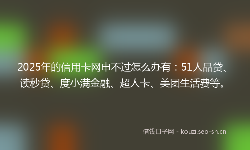 2025年的信用卡网申不过怎么办有：51人品贷、读秒贷、度小满金融、超人卡、美团生活费等。