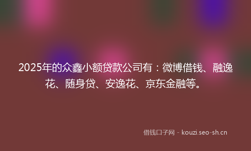 2025年的众鑫小额贷款公司有：微博借钱、融逸花、随身贷、安逸花、京东金融等。