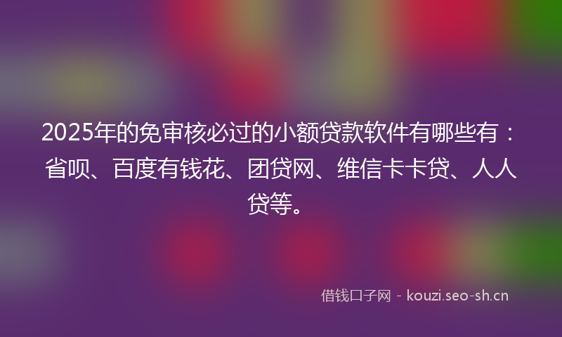 2025年的免审核必过的小额贷款软件有哪些有：省呗、百度有钱花、团贷网、维信卡卡贷、人人贷等。