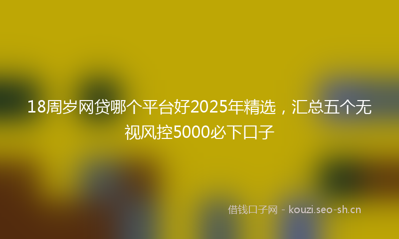 18周岁网贷哪个平台好2025年精选，汇总五个无视风控5000必下口子