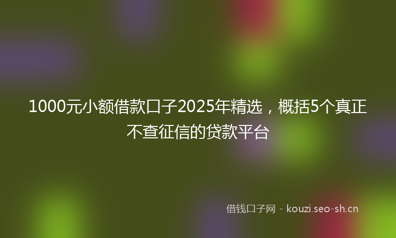 1000元小额借款口子2025年精选，概括5个真正不查征信的贷款平台