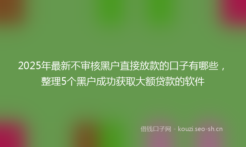 2025年最新不审核黑户直接放款的口子有哪些，整理5个黑户成功获取大额贷款的软件
