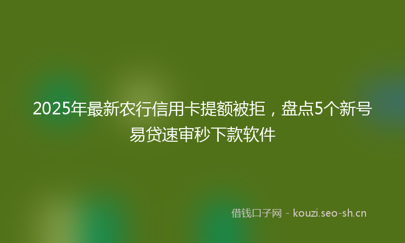 2025年最新农行信用卡提额被拒，盘点5个新号易贷速审秒下款软件