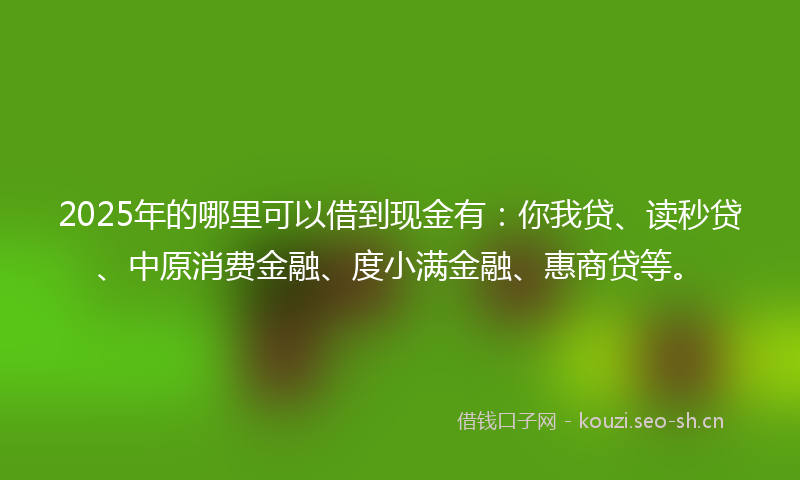 2025年的哪里可以借到现金有：你我贷、读秒贷、中原消费金融、度小满金融、惠商贷等。