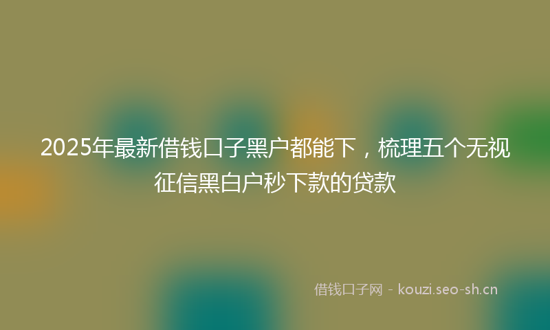 2025年最新借钱口子黑户都能下，梳理五个无视征信黑白户秒下款的贷款