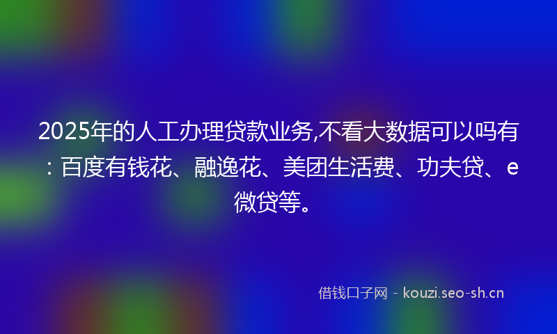 2025年的人工办理贷款业务,不看大数据可以吗有：百度有钱花、融逸花、美团生活费、功夫贷、e微贷等。
